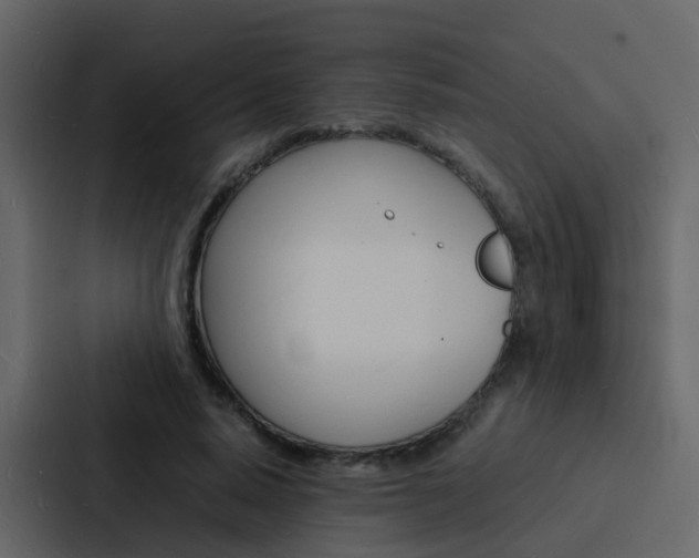 X0000088130640200705140958
