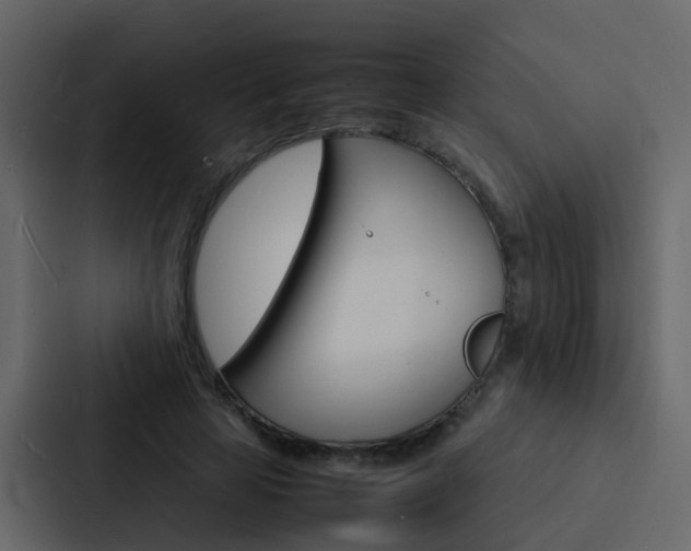 X0000088130641200705140958