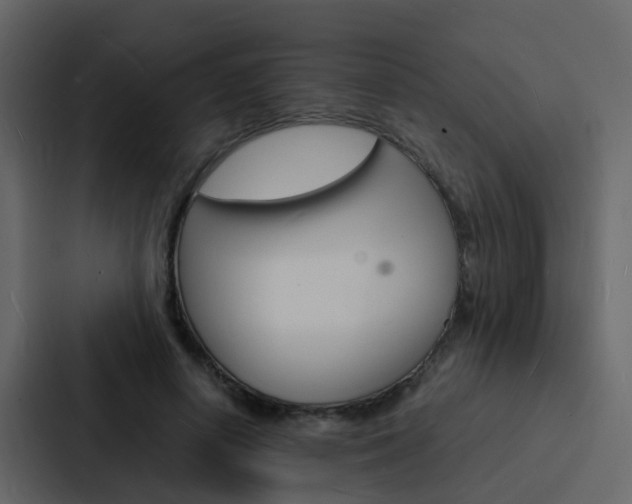 X0000088130642200705140958