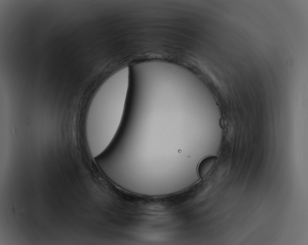X0000088130643200705140958
