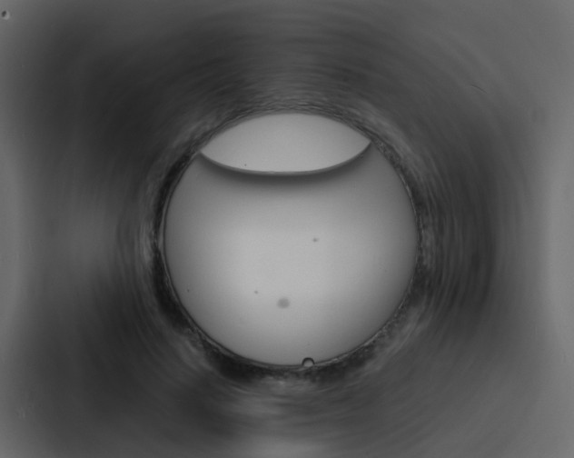 X0000088130644200705140958