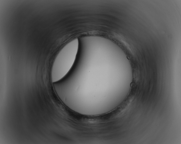 X0000088130645200705140958
