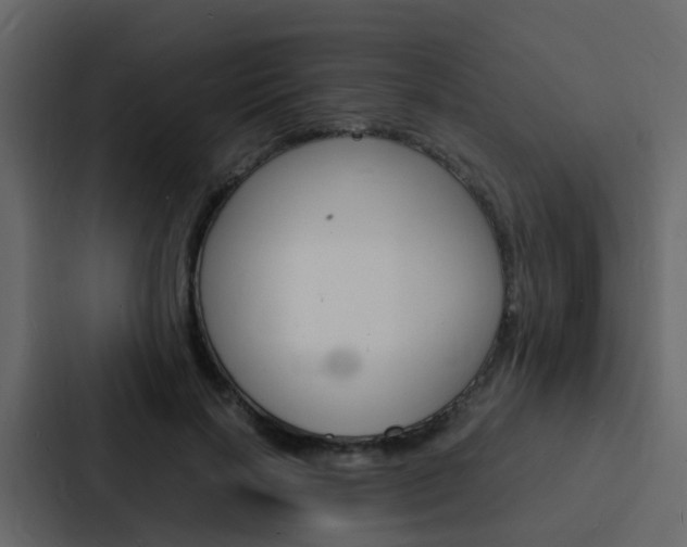 X0000088130646200705140958