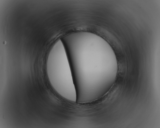 X0000088130648200705140958