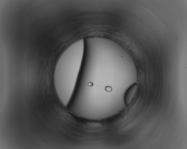 X0000088130649200705140958