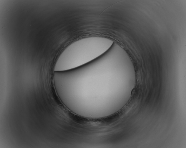 X0000088130650200705140958