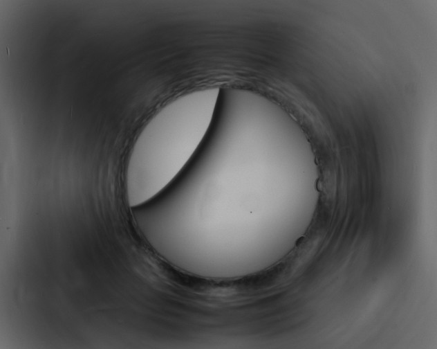 X0000088130653200705140958