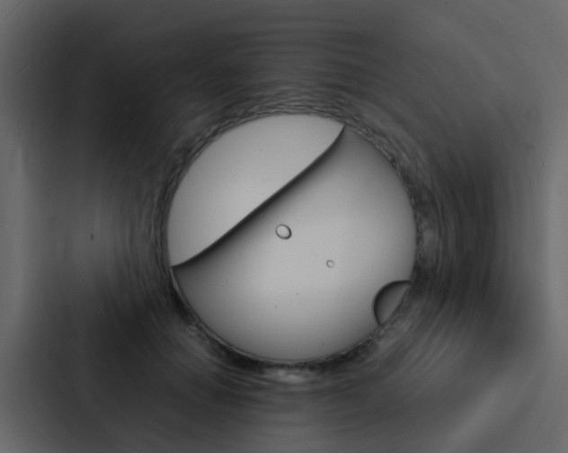 X0000088130654200705140958