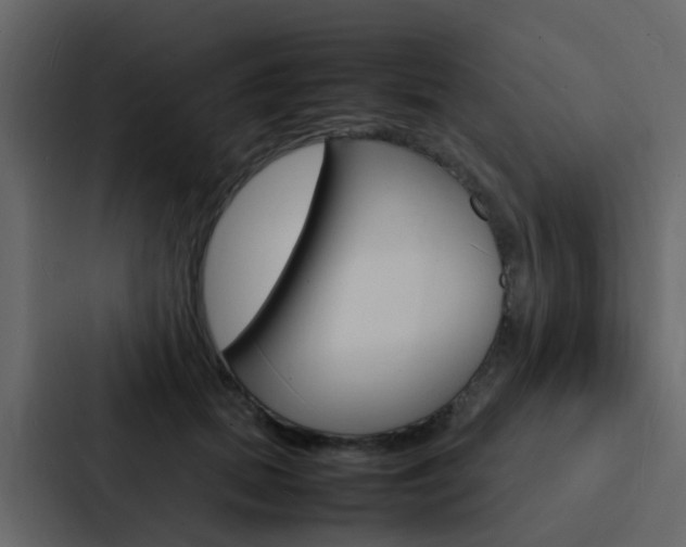 X0000088130655200705140958