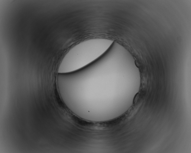 X0000088130656200705140958