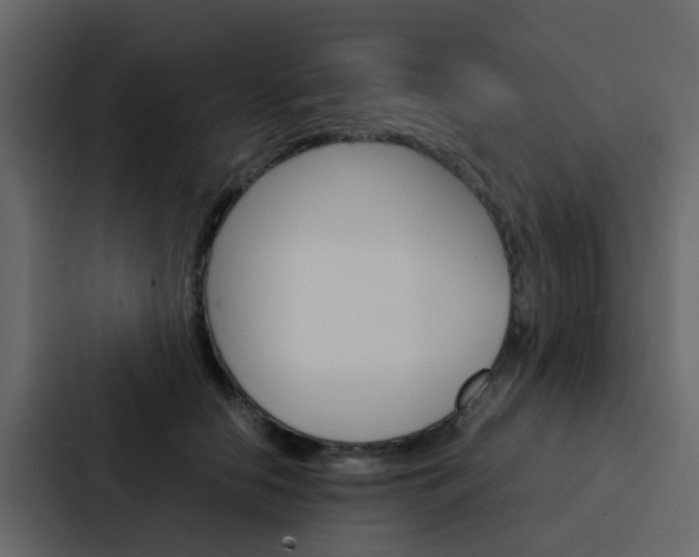 X0000088130658200705140958