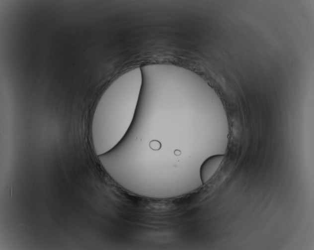 X0000088130659200705140958