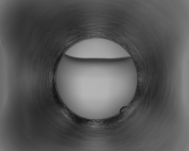X0000088130660200705140958