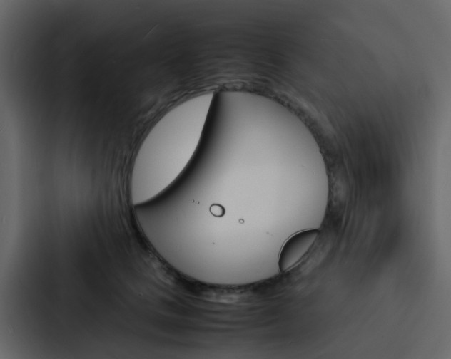 X0000088130661200705140958