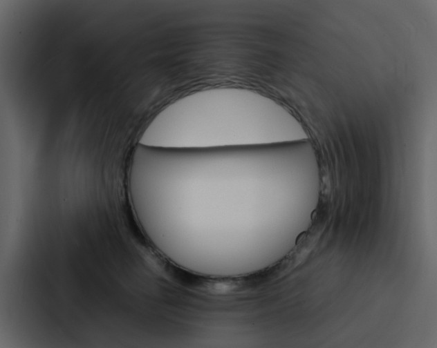 X0000088130662200705140958