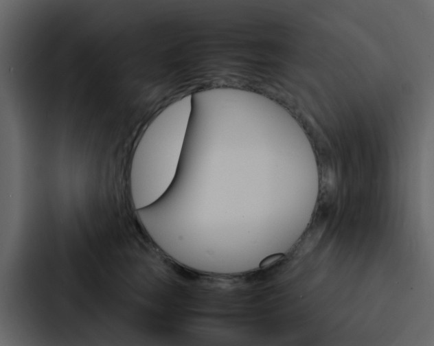 X0000088130663200705140958