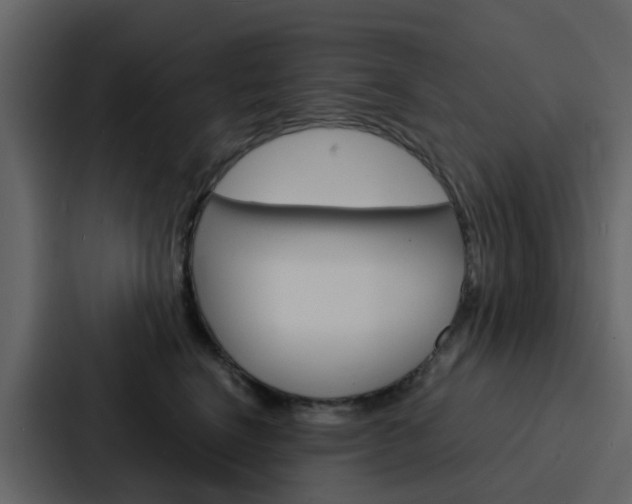 X0000088130664200705140958