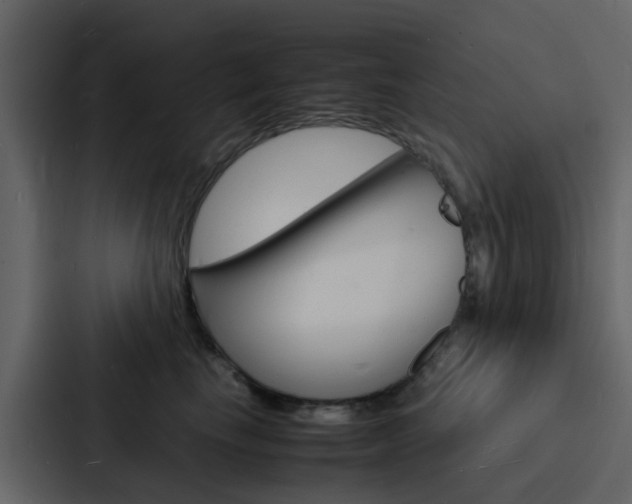 X0000088130665200705140958