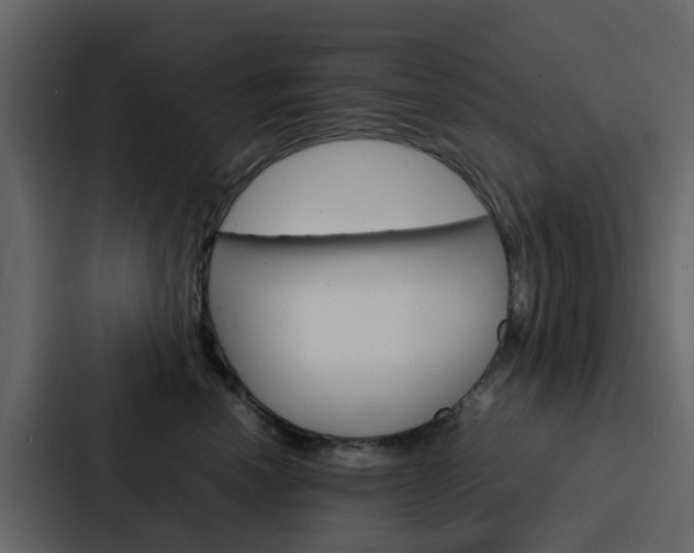 X0000088130666200705140958