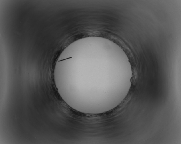 X0000088130667200705140958