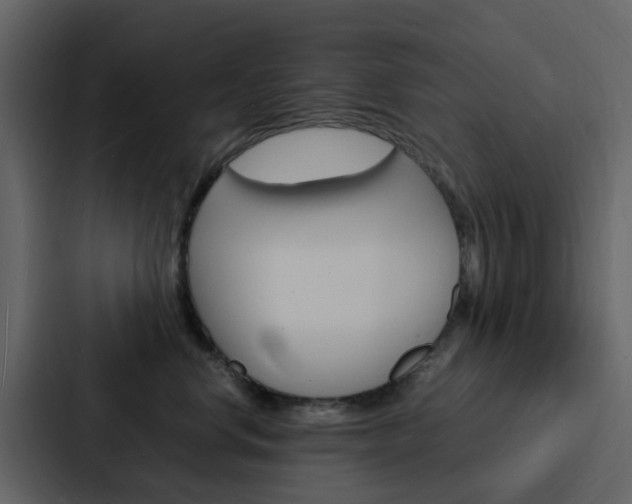 X0000088130668200705140958