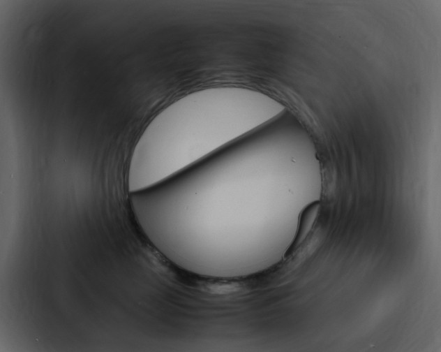 X0000088130669200705140958