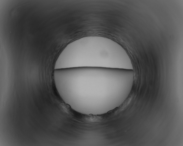 X0000088130670200705140958