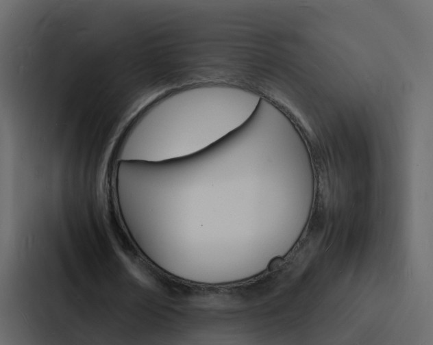 X0000088130674200705140958