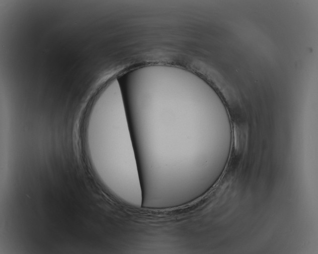 X0000088130675200705140958