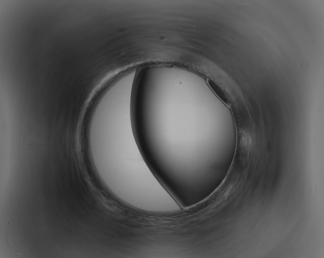 X0000088130676200705140958