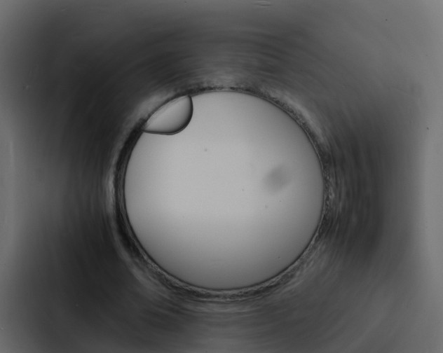 X0000088130678200705140958