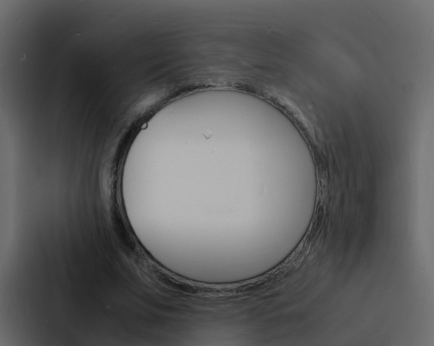 X0000088130679200705140958