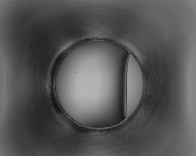 X0000088130680200705140958
