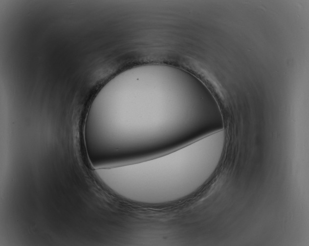X0000088130681200705140958