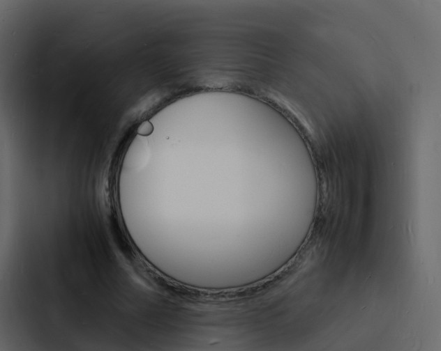 X0000088130682200705140958
