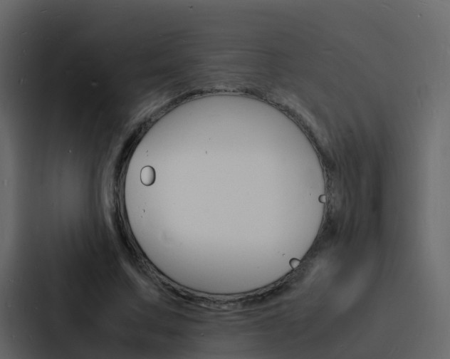 X0000088130683200705140958