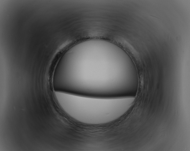 X0000088130684200705140958