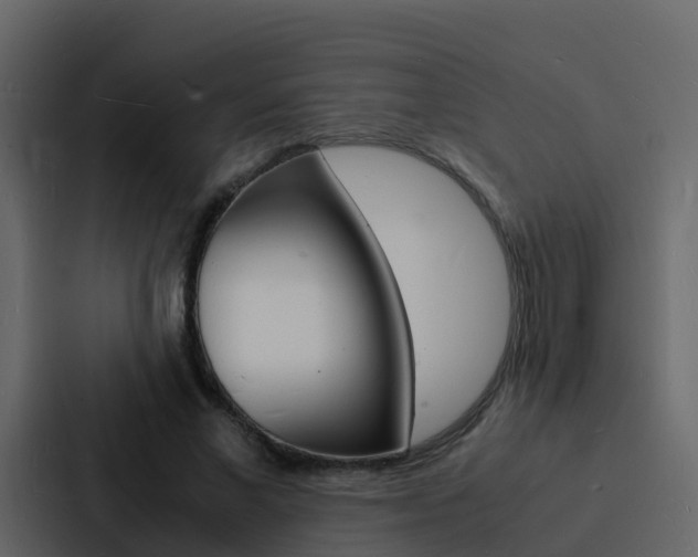 X0000088130685200705140958
