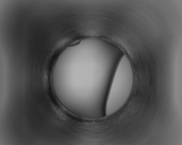 X0000088130688200705140958