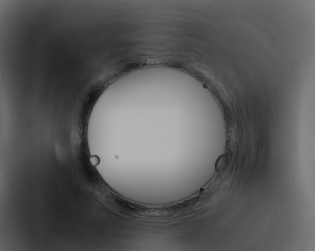 X0000088130691200705140957