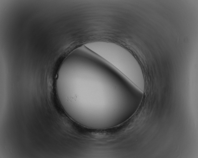 X0000088130693200705140957