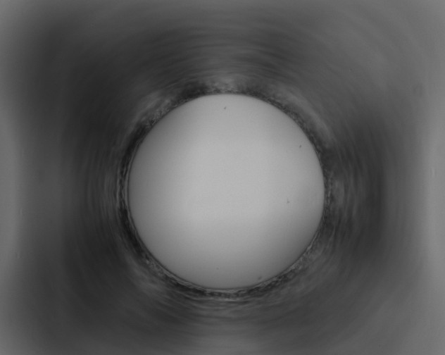 X0000088130694200705140957