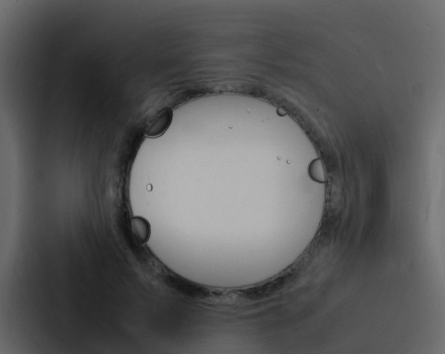 X0000088130695200705140957