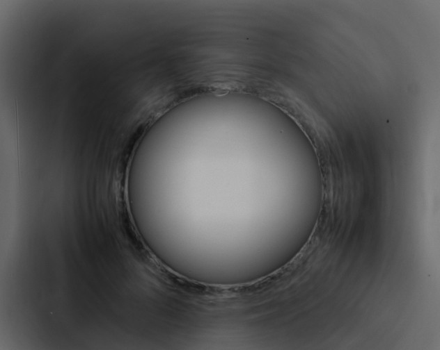 X0000088130696200705140957