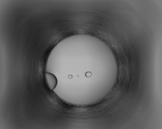 X0000088130698200705140957