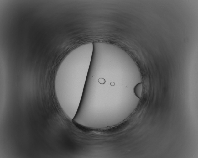 X0000088130699200705140957