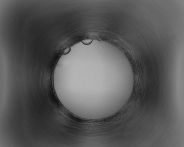 X0000088130702200705140957
