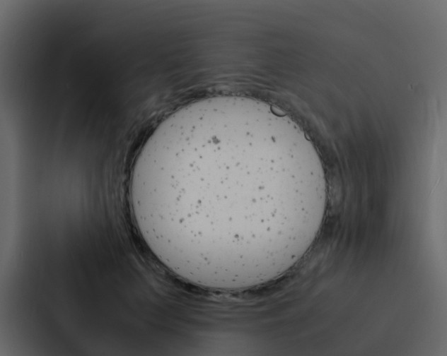 X0000088130703200705140957