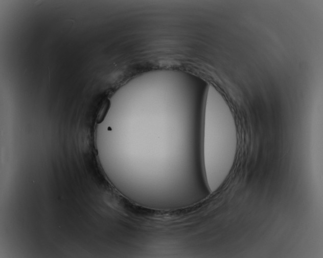 X0000088130704200705140957