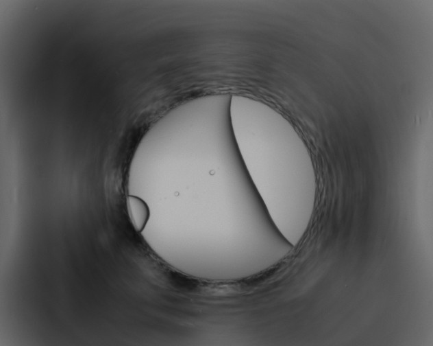 X0000088130711200705140957